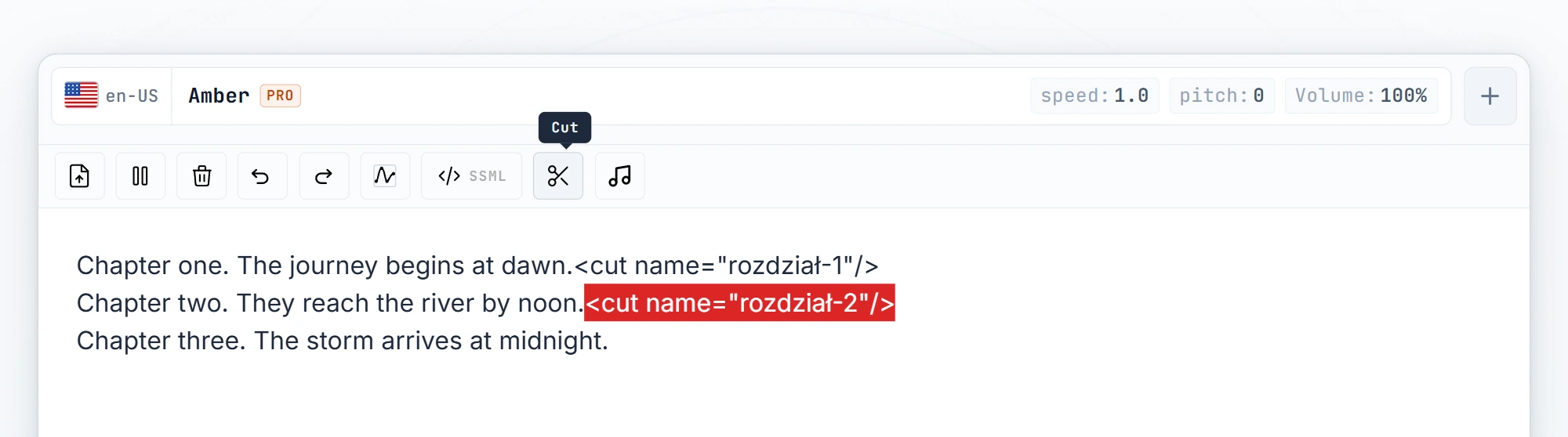 Both cut tags with name attributes typed in