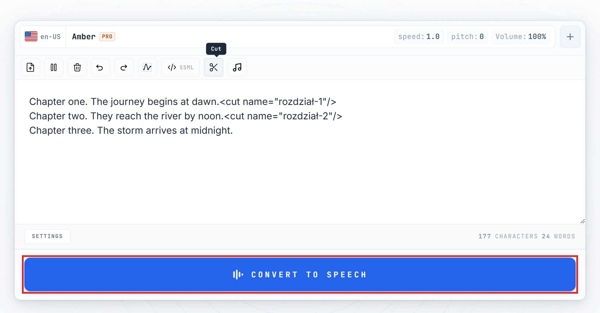 Convert to Speech button highlighted