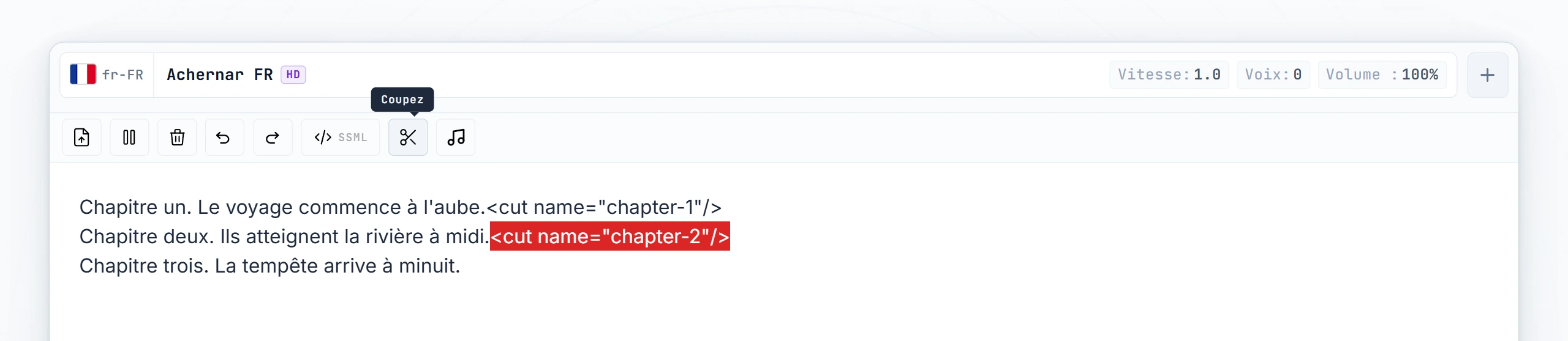 Les deux balises cut avec leurs attributs name tapés
