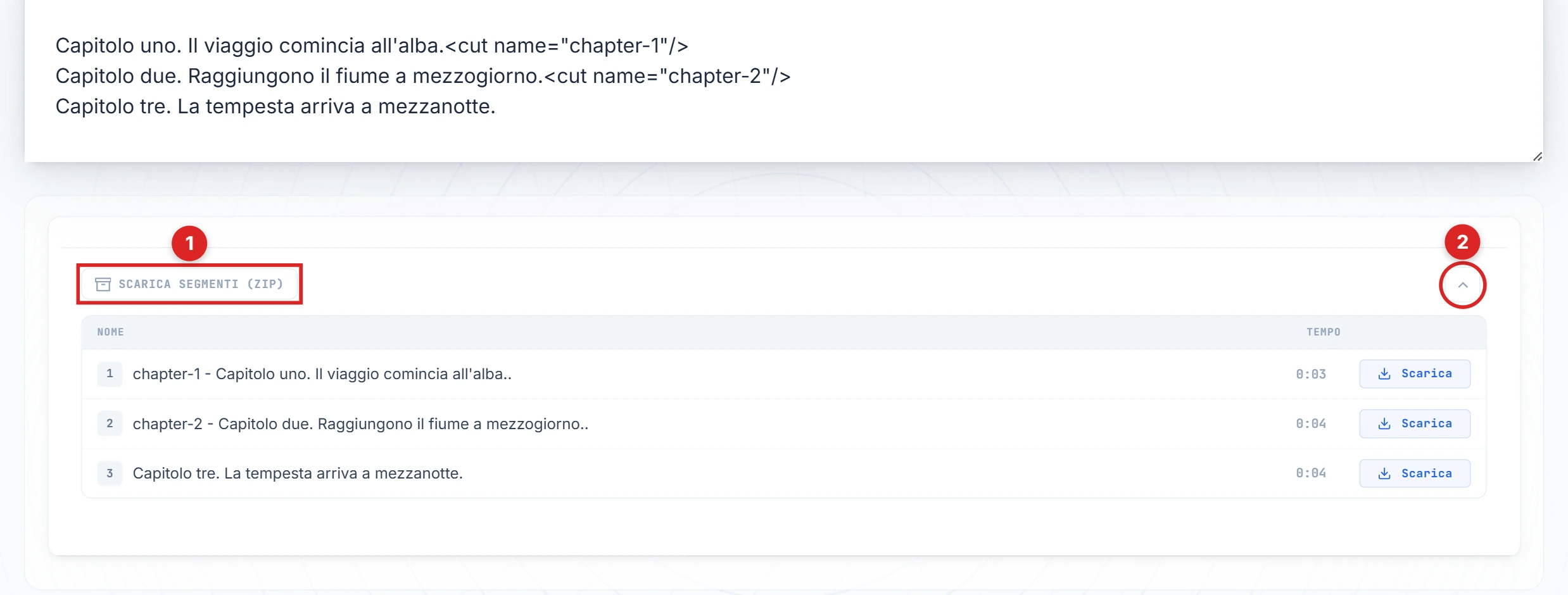 Pulsanti Scarica segmenti e chevron evidenziati sul pannello del risultato
