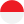 Endonezya dili
